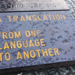 Waarom het belangrijk is dat een vertaler kennis heeft van uw sector
